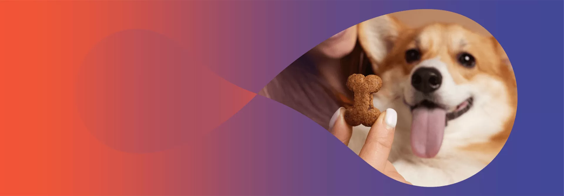 Инновационные жевательные лакомства для собак для комплексного ухода за полостью рта